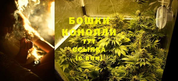 молекула духа Балахна