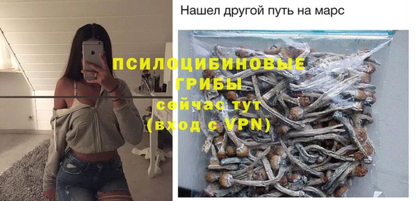 apvp Баксан