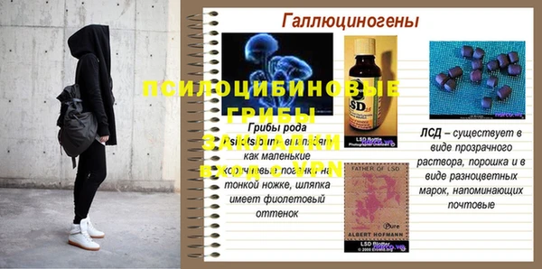 молекула духа Балахна